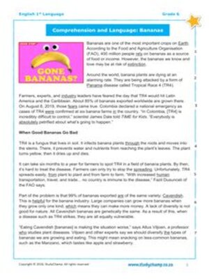 cover image of Grade 6 English: Comprehension & Language Workbook - Bananas